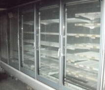 Endless Glass Door Freezer